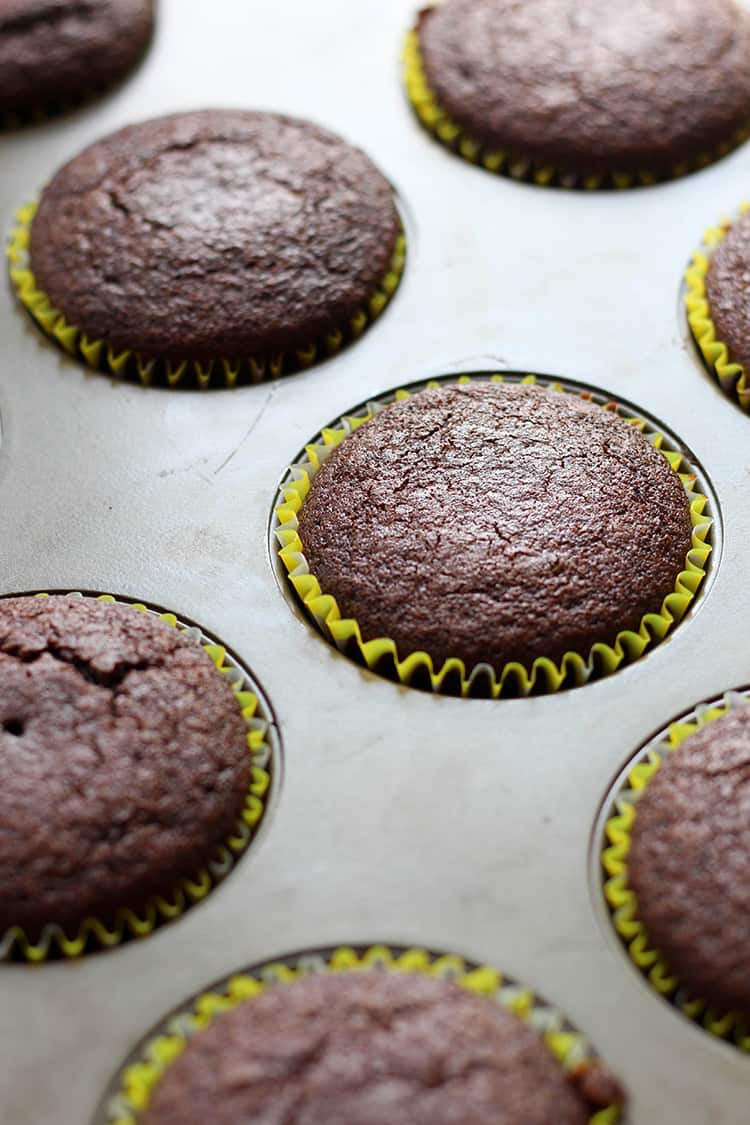 Chocolate cupcakes, fresh out of the oven. 