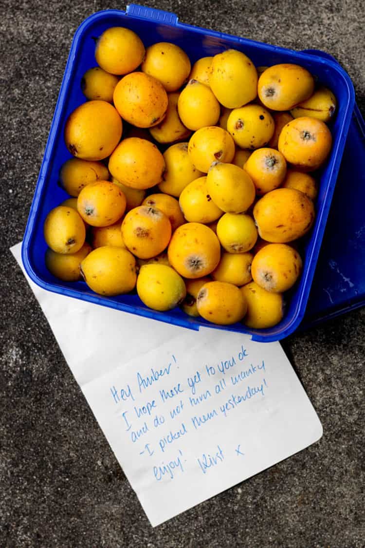 Loquats in the mail. 