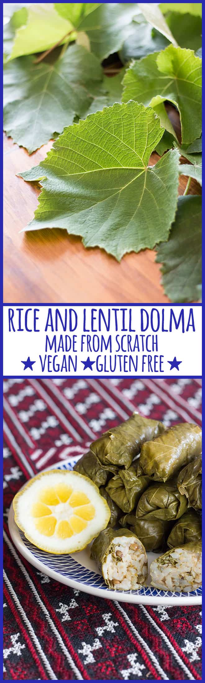 Rice and lentil dolma, or stuffed grape vine leaves, are delicious finger food or served as part of a Middle Eastern mezze platter. 
