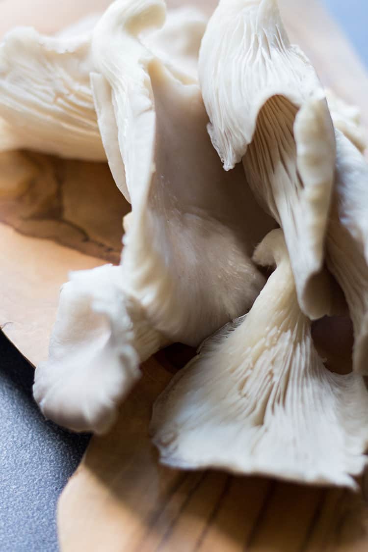 Oyster mushrooms. 