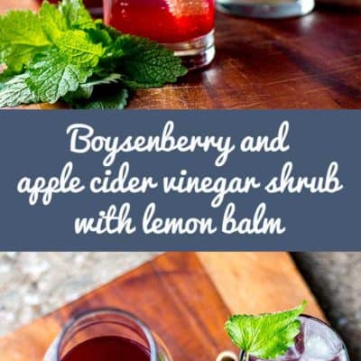 Home made boysenberry and apple cider vinegar shrub, a refreshing alternative to fruit cordials and a perfect mixer for alcoholic and non-alcoholic drinks. (Vegan and gluten free).