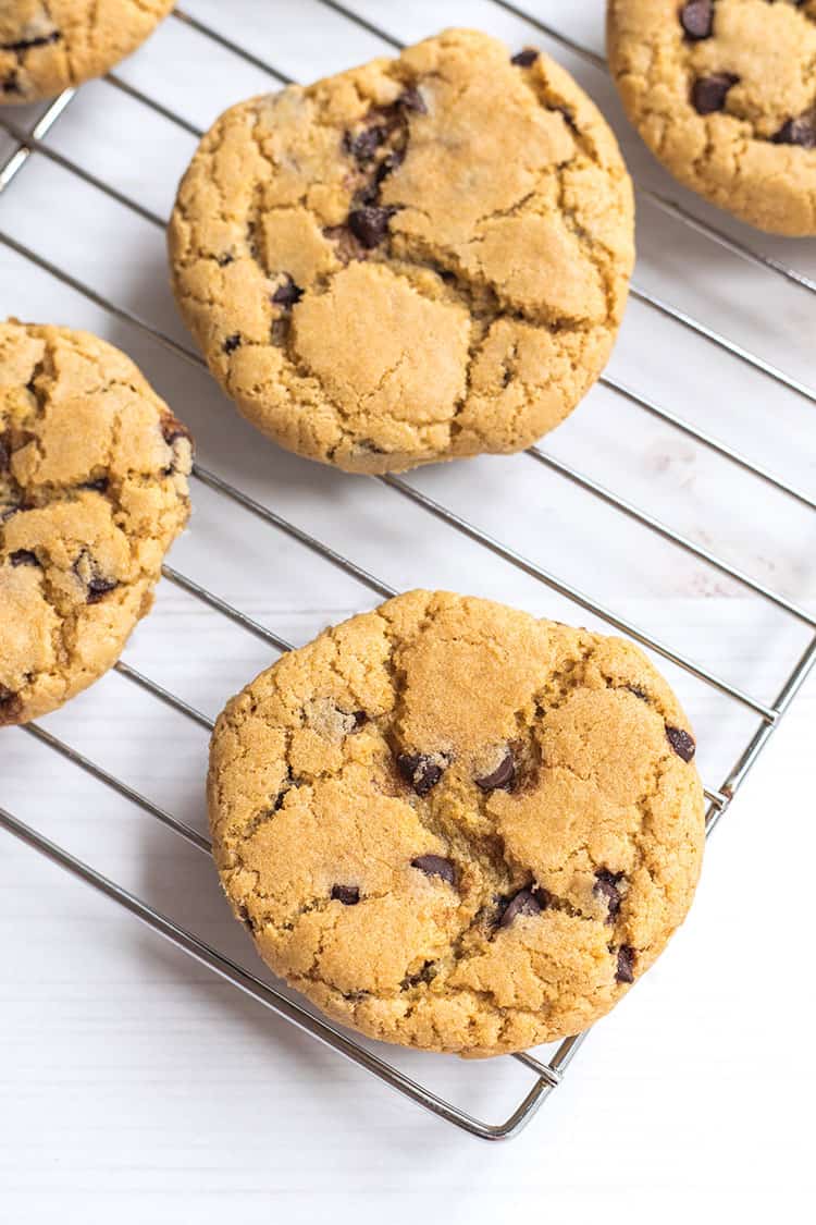 Vegan chocolate chip cookies from Great Vegan Meals for the Carnivorous Family, by Amanda Logan. 