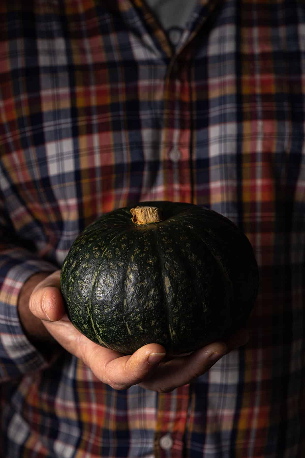 A man in a checked shirt, holding a small buttercup pumpkin in one hand. 